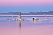Tufa towers in Mono Lake at twilight, California, United States of America, North America