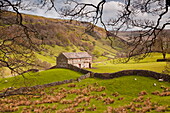 Stone barn in the Swaledale area of the Yorkshire Dales National Park, Yorkshire, England, United Kingdom, Europe