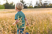 Junge (4 Jahre) läuft über eine Wiese, Marielyst, Falster, Dänemark