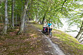 Fahrradfahrer mit Kinderanhänger fährt über Waldweg, Naesgaard, Falster, Dänemark