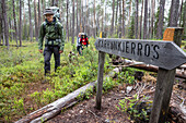 Wanderer auf der Bärenrunde, Karhunkierros, Nationalpark Oulanka, Nordösterbotten, Finnland