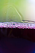 Tiny bubbles on surface of red wine