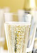 Glass of champagne, close-up