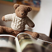 Stuffed teddy bear looking at book