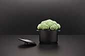 Food concept, fresh broccoli in miniature pot