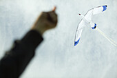 Flying a kite, low angle view