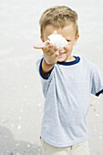 Young boy holding up seashell, focus on foreground