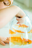 Girl reaching into goldfish bowl, cropped