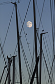 The masts of sailboats, dawn, moon in background