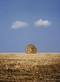 A bale of hay in a field