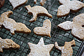 Detail of cookies on a rack