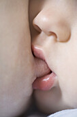 A baby breastfeeding, close-up of mouth and nipple