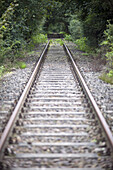 Railroad tracks in a wooded area