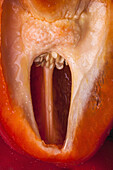A suggestive looking cross section of a bell pepper, close-up, full frame