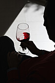 A silhouetted person swirling wine in a wineglass