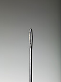 A sewing needle, close-up