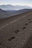 Trail of footprints along Lonquimay Volcano, Patagonia, Chile