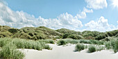 Grassy sand dunes in Schleswig Holstein, Germany