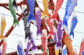 Fish style paper lanterns