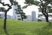Cityscape view from Hamarikyu Park, Japan