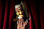 Punch from the classic puppet show Punch and Judy parting the curtains on stage