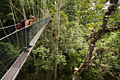 A woman looking down from a tree canopy walkway, Teman Negara National Park, Malaysia