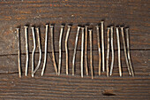 A row of old nails
