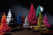 Various colored Christmas trees and a stuffed fox