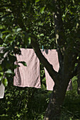 Towels hanging on clothesline at yard
