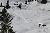 Hikers walking across a snowy landscape