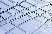 Detail of a grid structure made out of a liquid substance