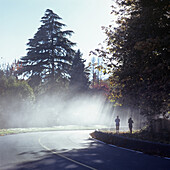 Two women jogging on roadside at early morning