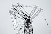 Double exposure of Crane