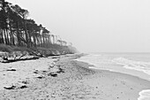 Tranquil view of Baltic Sea, Prerow, Germany