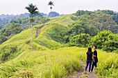 Couple hiking between paddy fields, sawah, Ubud, Gianyar, Bali, Indonesia