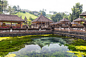 Quellheiligtum Pura Tirta Empul, Tampaksiring, Bali, Indonesien