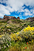 Berglandschaft, Gran Canaria, Kanarische Inseln, Spanien