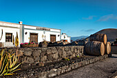 Bodega La Geria, wine region La Geria, Lanzarote, Canary Islands, Spain