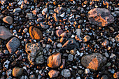 Close up of pebbles on the beach, Surendorf, Eckerfoerder Bay, Baltic sea, Rendsburg-Eckernfoerde, Schleswig-Holstein, Germany