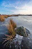 Katenhofer moor, Daenisch Wohld, Rendsburg-Eckernfoerde, Schleswig-holstein, Germany