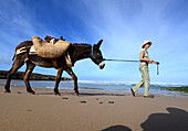 Donkey hiking along the beach of Aljezur with Sofia von Mentzingen and donkey Mocca, Costa Vicentina, Algarve, Portugal
