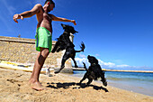 Man playing with his dogs, water dogs at Castelo, Lagos, Algarve, Portugal