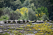 Slate roof in Parque Natural Montesinho bei Braganca, Tras-os-Montes, Northeast-Portugal, Portugal