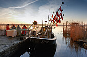 Fishing boat in the harbour of Klein Zicker, Moenchgut, Ruegen, Baltic Sea, Mecklenburg Vorpommern, Germany