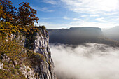 Eichsfelsen, mist in the valley of the Danube river, Upper Danube Nature Park, Baden- Wuerttemberg, Germany