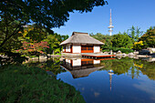 Teahouse in the japanese garden, television tower in the background, Planten un Blomen, Hamburg, Germany