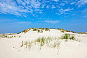 Dunes on Nordstrand, Norderney, Ostfriesland, Lower Saxony, Germany
