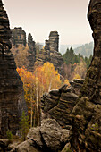 Leaning Tower at Bielatal, National Park Saxon Switzerland, Elbe Sandstone Mountains, Saxony, Germany