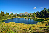 Lake Colbricon, Trans-Lagorai, Lagorai range, Dolomites, UNESCO World Heritage Site Dolomites, Trentino, Italy