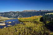 Moorsee mit Wollgras und Latemargruppe und Rosengarten im Hintergrund, Trans-Lagorai, Lagorai-Höhenweg, Lagorai, Dolomiten, UNESCO Welterbe Dolomiten, Trentino, Italien